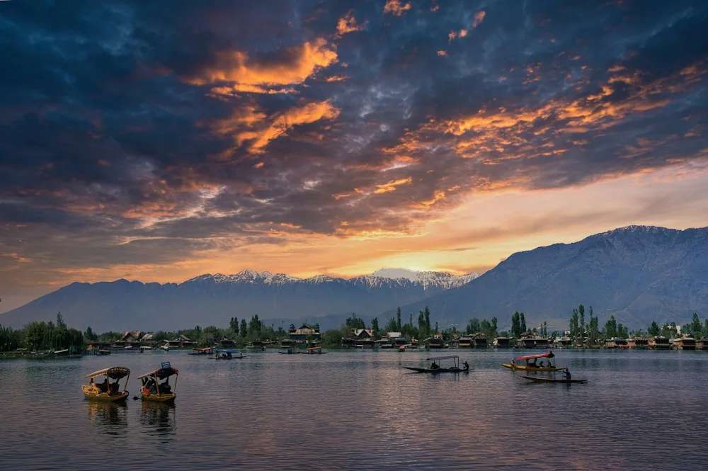 Shikara boats on Dal Lake in Kashmir